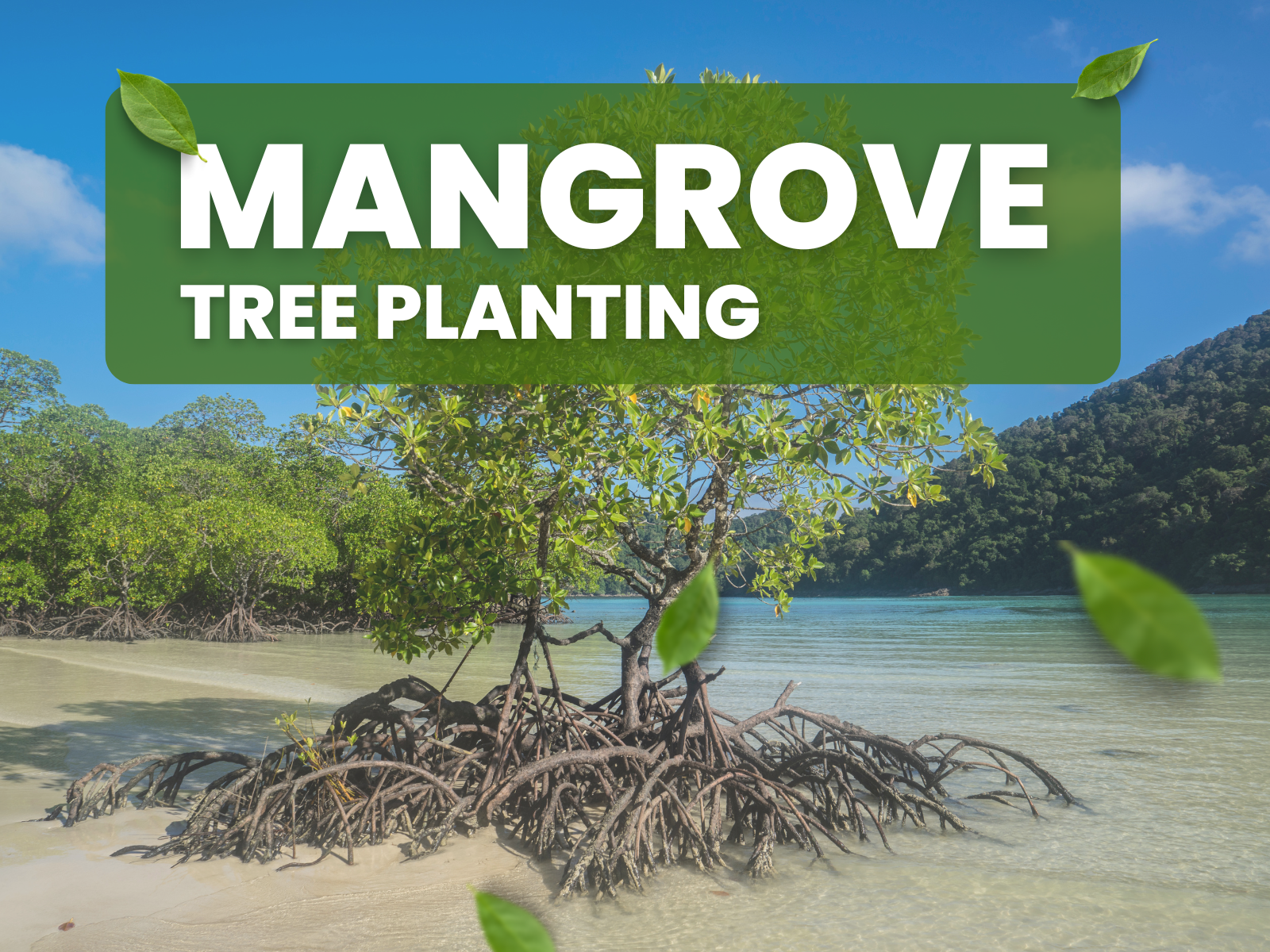 ngo-illustration-Artboard 5